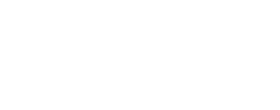 לוגו סטימצקי